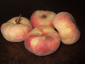 Prunus persica Sweet Cap® - Sweet Cap® Peento Peach Prunus persica Sweet Cap® - Sweet Cap® Peento Peach