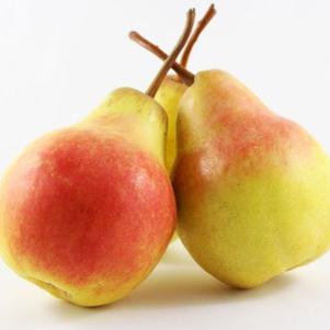 Harrow Crisp Pear Harrow Crisp Pear