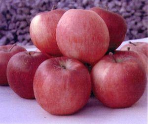  Disease Resistant Varieties